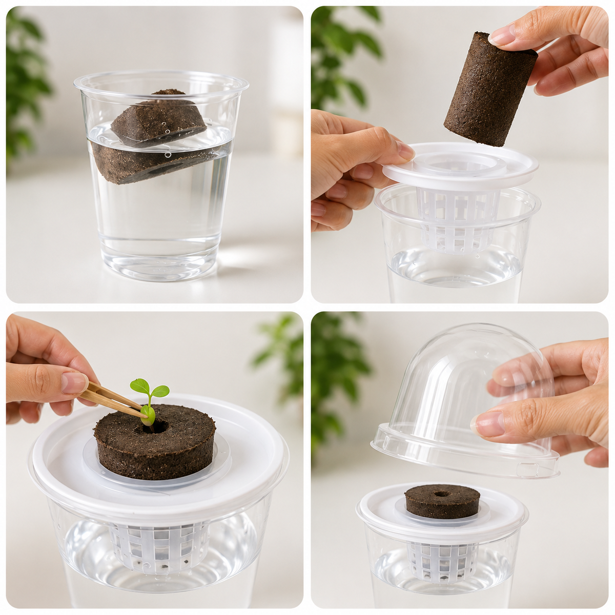 Hydroponic Seed Starter Kit – 8 Self-Watering Planting Pots with Grow Domes
